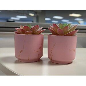 New Fake Succulents, Mini Succulents Plants Artificial in Pink Ceramic Pots